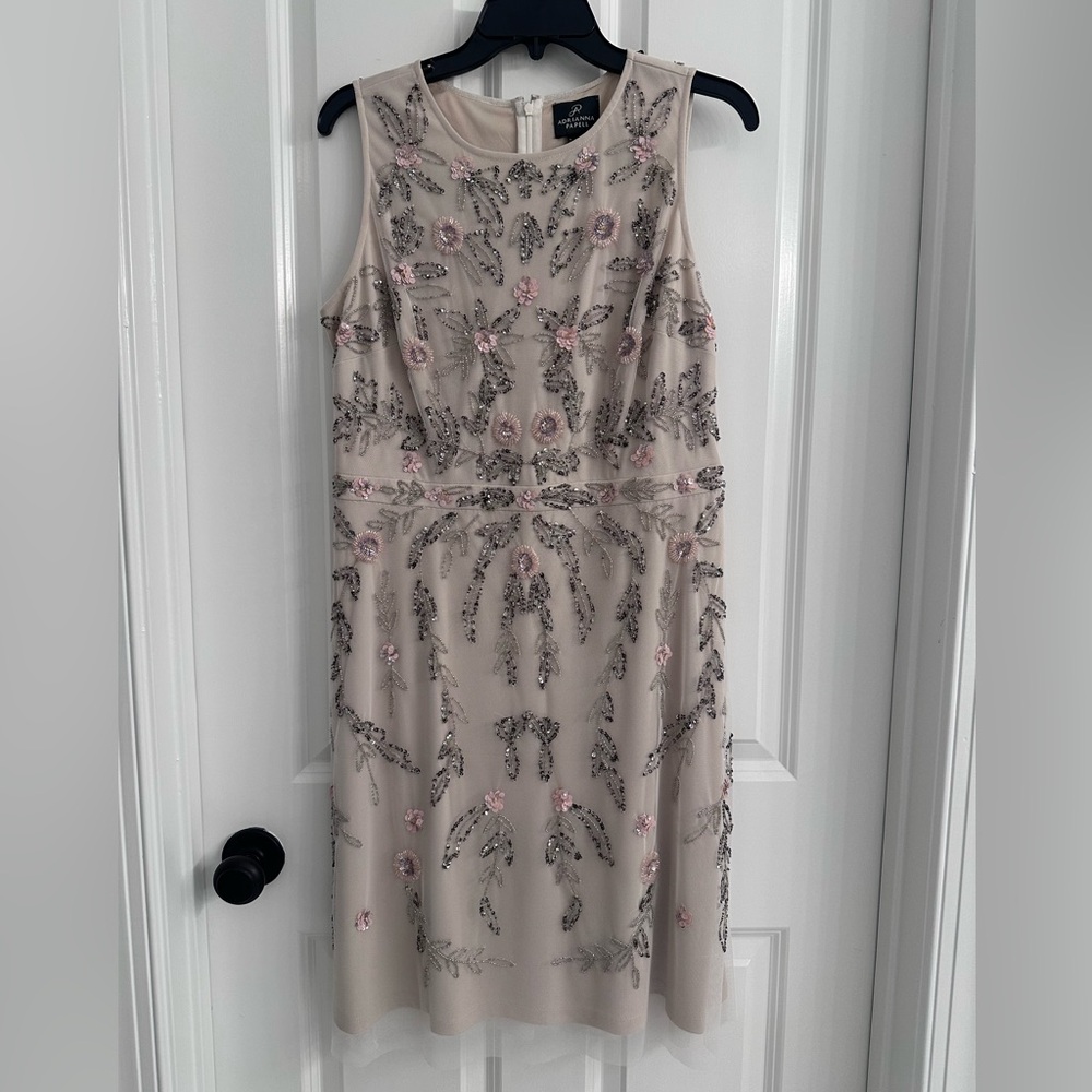 Adrianna Papell Cream and Pink Embellished Dress